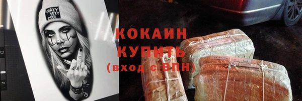 дживик Осинники