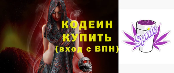 дживик Осинники