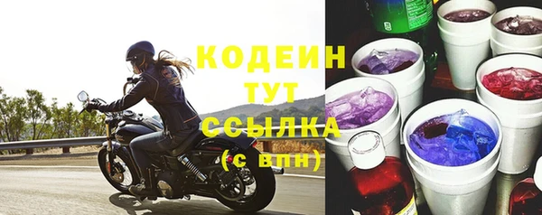 дживик Осинники