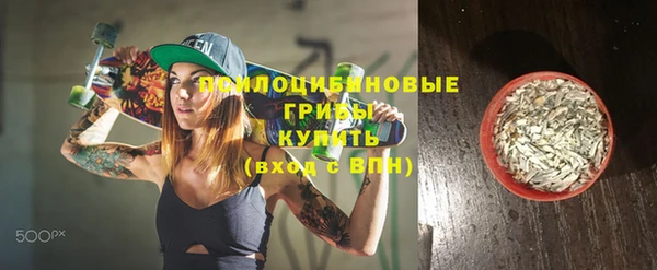 apvp Осташков