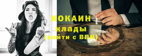 дживик Осинники