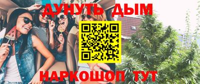 шишки Волжский