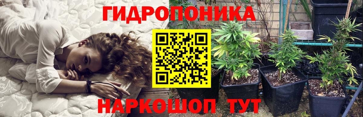 МАРИХУАНА гибрид Приморско-Ахтарск